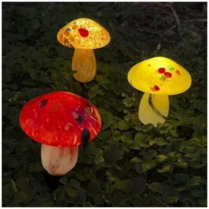 LOT 289 - $76 retail - bidding now